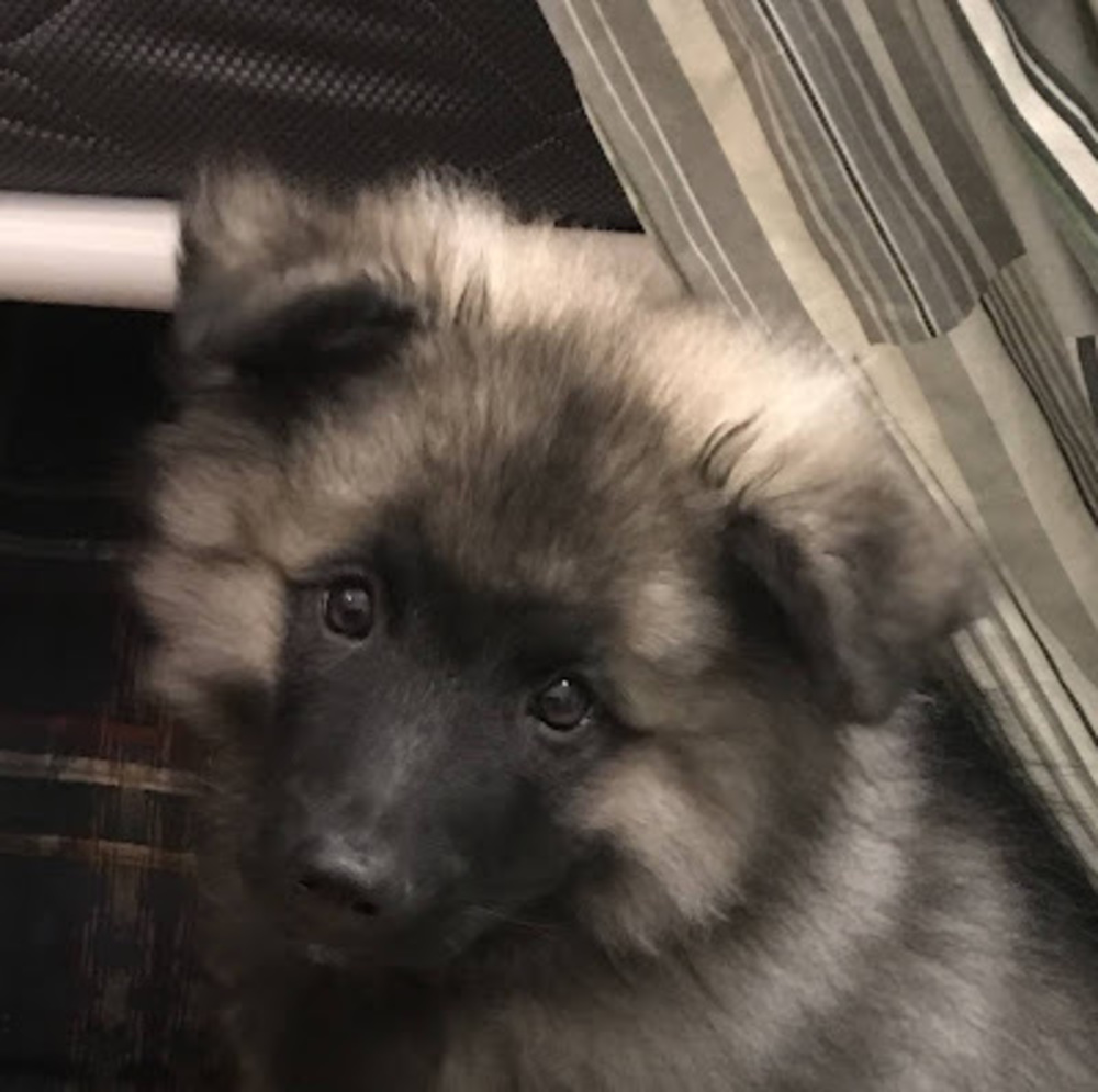 Meet your Posher, Laura